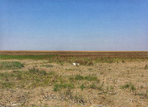 7790طŹ,Ұ׷,׷,׷