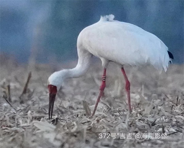 7790طŹ,Ұ׷,׷,׷