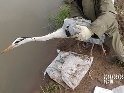 7790必发集团官网入口,湖南野生动物追踪,湖南卫星追踪器,湖南追踪器 7790必发集团官网入口,湖南野生动物追踪,湖南卫星追踪器,湖南追踪器